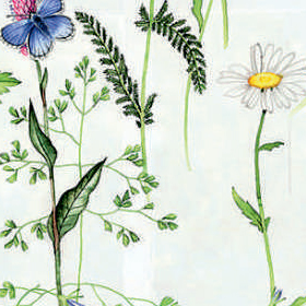 ФЛОРА BO 0225 белый, 200 см ФЛОРА BO 0225 белый, 200 см